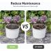 5lb Black Lava Rocks for Succulent Landscaping - Pure Volcanic Rocks for Plant Top-Dressing - 1/5 Inch Size - Buy Online on GoSupps.com