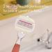 Buy Gillette Venus Comfortglide Strawberry Edition Women's Razor + 1 Blade | International Shipping Available - Buy Online on GoSupps.com