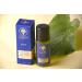 Active Muscle & Joint Support Oil 50ML - Natural Pain Relief & Fast Absorption for Global Shipping - Buy Online on GoSupps.com