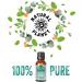 Natural Planet Breathe Essential Oil Blend 15ML with Neroli for Respiratory Health - Buy Online on GoSupps.com