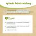 Pregnivital Puerperium Tea - 100% Organic Herbal Blend for Postpartum Recovery - Essential Female Mantle Yarrow & Shepherd's Whitewash - 15 Tea Bags - Buy Online on GoSupps.com