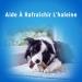 DENTALIFE Maxi Multipack for Large Dogs 72 Chew Snacks (2 x 1272g) Everyday Oral Hygiene - 1.27kg - Buy Online on GoSupps.com