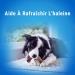 Dentalife Medium Dental Sticks for Dogs | 1.93 kg Multipack | Bucco Hygiene Chews for Medium-Sized Dogs (12-25 kg) - Buy Internationally - Buy Online on GoSupps.com