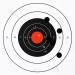 ChromaLabel 0.75 Inch Permanent Round Target Pasters - 1000 Labels - Black - Buy Online on GoSupps.com