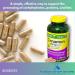 Cinnamon 1000mg- Capsules Plus Chromium 180ct (Pack of 1) Boxed by Fusion Shop Store - Buy Online on GoSupps.com