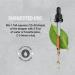 Secrets of the Tribe Testosterone Support Drops | Herbal Liquid Extract for Male Hormone Balance | Alcohol-Free | 4 fl oz - Buy Online on GoSupps.com