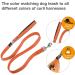 Buy Basic Orange Leash for Dogs | Durable & Stylish - International Shipping Available - Buy Online on GoSupps.com