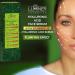 Buy Hyaluron Serum 100ml | Natural Vitamin C Anti-Wrinkle Formula with Snail Mucus & Aloe Vera | Moisturizing Hyaluronic Acid | Made in Italy - Buy Online on GoSupps.com
