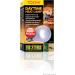 Exo Terra Daytime Heat Lamp - A19 100W Broad Spectrum Daylight | E27 Socket | Perfect for Reptiles and Amphibians - Buy Online on GoSupps.com