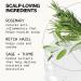 Pacifica Scalp Love Rosemary Mint Serum 2 fl oz (pack of 1) - Buy Online on GoSupps.com