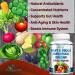 Superfood Greens Tablets - 28 Fruits and Vegetables including Alfalfa, Barley Grass, Spirulina, Beet Root, Tart Cherry - Non-GMO - 120 Tablets - Buy Online on GoSupps.com