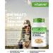 Astragalus 1400 mg - Premium Vegan Supplement - 180 Capsules with 50% Polysaccharides - Pure Extract No Additives - High-Dosed International Shipping - Buy Online on GoSupps.com