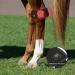 HORREX LED Therapy Device-Infrared & Red Light Therapy for Pain Relief Muscle & Joint Pain from strenuous Exercise of Horse.Accelerate Wound Recovery Reduce Inflammation - Buy Online on GoSupps.com