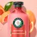 Herbal Essences Pure Plants Grapefruit Volumizing Conditioner with Certified Camellia Oil and Aloe Vera For All Hair Types Especially Fine Hair 400 mL Unscented 400 ml (Pack of 1) - Buy Online on GoSupps.com