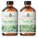 EVOKE OCCU Tea Tree Essential Oil and Thyme Essential Oil - 4 Fl Oz