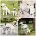 Adjustable Double Dog Lead Coupler | No Tangle Twin Pet Leash Splitter | Nylon | M 16-23.6in Black - Buy Online on GoSupps.com