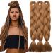 Tess Braids Extensions Brown 60 cm 3 pack Jumbo Braids Kanecalon Kunsthaar For single-leased box braids hair extension braid 100g/bundle of hair braids extension (3 pieces- #30 chestnut brown) 60 cm (3 pieces) #30 chestnut brown