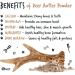 Bugalugs Deer antlers Supplement dog food toppers Powder for Dogs & puppy high in protein dog food fibre vitamins & minerals. 100% Natural reindeer antlers dog supplements use with licky mat (70g) 70 g (Pack of 1) - Buy Online on GoSupps.com