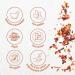 Flocons de Piment Monte Nativo (500g) - Piment en Flocons - pices aromatiques s ch es avec soin id ales pour Cuisiner et Assaisonner - Ar me et Go t intenses Flocons de piment 500 g (Lot de 1) - Buy Online on GoSupps.com