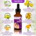 Natural Ear Drops for Ear Infection Treatment - Homeopathic Eardrops for Adults, Kids, Baby & Pets - Relieves Ear Aches, Infections, Swimmer's Ear & Loosens Wax - Made in USA - Buy Online on GoSupps.com
