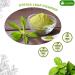 Lavendium Premium 128g (4.5oz) Stevia Leaf Powder Unprocessed Ground Stevia Leaves Dried 100% Natural & Pure Stevia Leaf Sugar Substitutes Natural Zero-Calorie Sweetener No Additives No Gluten Vegan. Stevia 127 g (Pack of 1) - Buy Online on GoSupps.com