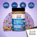 Beyond The Equator 5 Seed Butter Creamy 16 oz - Nutritious Vegan Spread - Buy Online on GoSupps.com