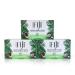 Coco Fiji Soap Bar for Face and Body Infused With Organic Coconut Oil Cucumber Melon Essential Oil Natural Soap for Moisturizing & Pore Purifying Skin 7 oz Pack Of 3 Cucumber Melon Pack of 3