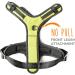 Mighty Paw Sport Harness 2.0 - Padded Adjustable Dog Harness with Reflective Seams (X-Large Green) | International Shipping Available - Buy Online on GoSupps.com