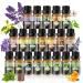 Essential Oils for Diffuser for Home pankaji Diffuser Oil 20 * 10ML Essential Oils Set Gifts 100% Natural Aromatherapy Oils for Home Fragrance Humidifier Candle & Soap Making Cleaning Relaxing