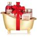 BRUBAKER Cosmetics Bath and Shower Set Cranberry Love - 6-piece gift set in a golden decorative tub