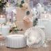 Oasis Creations 6 Clear Round Plastic Plate Set - 100 Pack, Reusable Party Supplies for Birthdays, Celebrations, Buffets- Catering and More - Buy Online on GoSupps.com