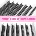 JIMIRE CL05 84Pcs DIY 5D Wispy Eyelash Clusters | D Curl Individual Lashes 10-16MM | Fluffy Self Application Extensions - Buy Online on GoSupps.com