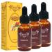 Massage Oil Lymphatic Drainage Ginger Oil Ginger Massage Oils Belly Drainage Ginger Oil Ginger Essential Oils for Massage Lymphatic Drainage Aromatherapy Ginger 30 ml (Pack of 3)