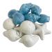 Westman Works Nautical Sea Soap Set One Dozen Assorted Novelty Beach Shapes Pack of 12