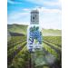 AriZona - Blueberry White Tea - 100% Pleasure Drink 6 PET Bottles 500ml - Buy Online on GoSupps.com