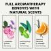 Scented Aromatherapy Shower Bombs 6 Pack with Natural Essential Oils - Relaxation & Stress Relief - Lavender, Eucalyptus, Rose, Mint - 100% Vegan - Buy Online on GoSupps.com