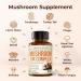 Mushroom 10x Complex with Lions Mane Extract Turkey Tail Cordyceps Reishi Shiitake Chaga & Maitake for Cognitive Support Vegan Mushroom Supplement Blend for Natural Energy & Focus 60 Capsules Mushroom Complex 10-in-1 - Buy Online on GoSupps.com