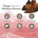 Stay Wyld - Organic Chaga Mushroom Capsules -Natural Cholesterol Level and Immune Support Supplement - 100% Canadian Grown Chaga Fruiting Bodies - Non-GMO Vegan - Mushroom Supplement - 60 Capsules Chaga - Capsules - Buy Online on GoSupps.com