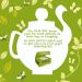 Clipper Clipper Organic Everyday 80 Tea bags 250g - Buy Online on GoSupps.com