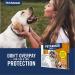 PetArmor Plus Flea & Tick Prevention for Dogs | Waterproof Topical Treatment | Kills Fleas, Ticks, & Lice | Fast-Acting & Long-Lasting | 3 Count, Various Sizes - Buy Online on GoSupps.com