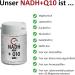NADH (Panmol ) 20 mg + Coenzyme Q10 100 mg Capsules - 60 Lactose-Free Capsules | Premium Coenzyme 1 & Q10 Supplement - Buy Online on GoSupps.com