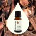 Plant Therapy Clove Bud Essential Oil 10 mL (1/3 oz) 100% Pure Undiluted Natural Aromatherapy Immune Support Sore Muscle & Joint Relief - Buy Online on GoSupps.com
