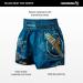Hayabusa Falcon Muay Thai Shorts - Small Black | Premium Quality - Buy Online on GoSupps.com