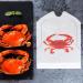 Crab Bibs 25/50 Pack - Disposable Lobster Bibs for Adults - Funny Plastic Crawfish Seafood Boil Party Bibs - Buy Online on GoSupps.com