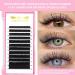 Buy Flat Lashes 0.15 & 0.20 Ellipse Extensions | C CC D DD Curl | Matt Black | International Shipping - Buy Online on GoSupps.com