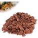 Buy Bark Litter for Reptiles - Natural Wood Granules Substrate for Turtles Lizards & Snakes | Eco-Friendly Breeding Box - Buy Online on GoSupps.com
