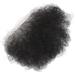 Fake Pubic Hair Fake Private Hair Breathable Soft Simulated Safe for Home (Short) - Buy Online on GoSupps.com