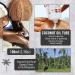 Kapuluan Organic Coconut Oil for Hair Skin - Raw Extra Virgin Cold Pressed Oil - 3 Pack 100ml - Hair Growth & Body Care - Buy Online on GoSupps.com