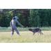 PlayfulSpirit Durable Natural Rubber Ball on a Rope - Perfect Dog Training Exercise and Reward Tool - Medium Size Dog Toy for Fetch Catch Throw and Tug War Plays Happy Playtime Guaranteed - Buy Online on GoSupps.com