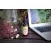 Eclectic Institute Stone Root Extract 250 mg - 2 fl oz (60 ml) - Herbal Supplement - Buy Online on GoSupps.com